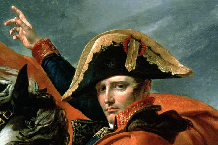Il ragno Napoleone, un predatore spietato